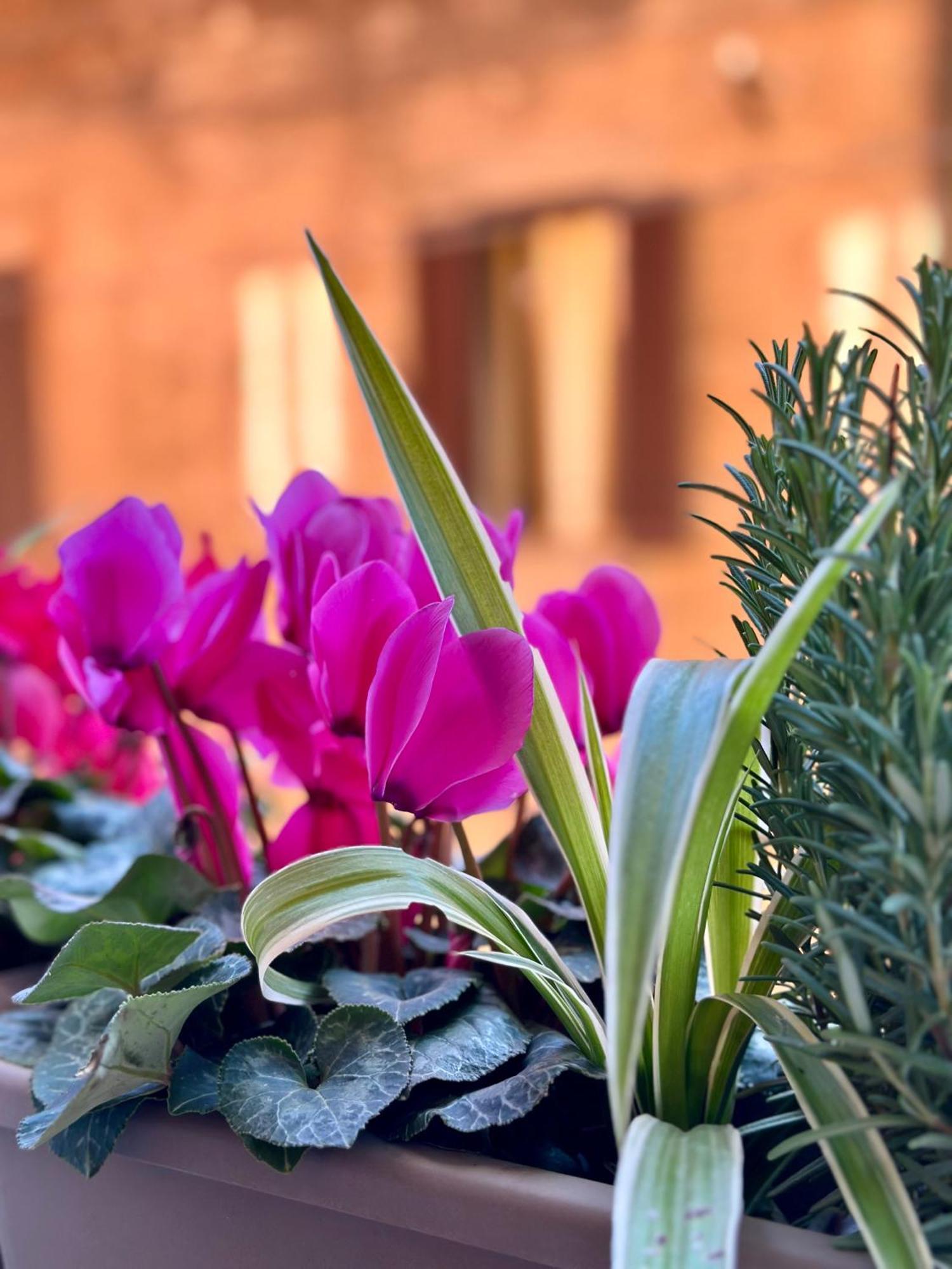 Casa Belfiore Leilighet Bologna Eksteriør bilde